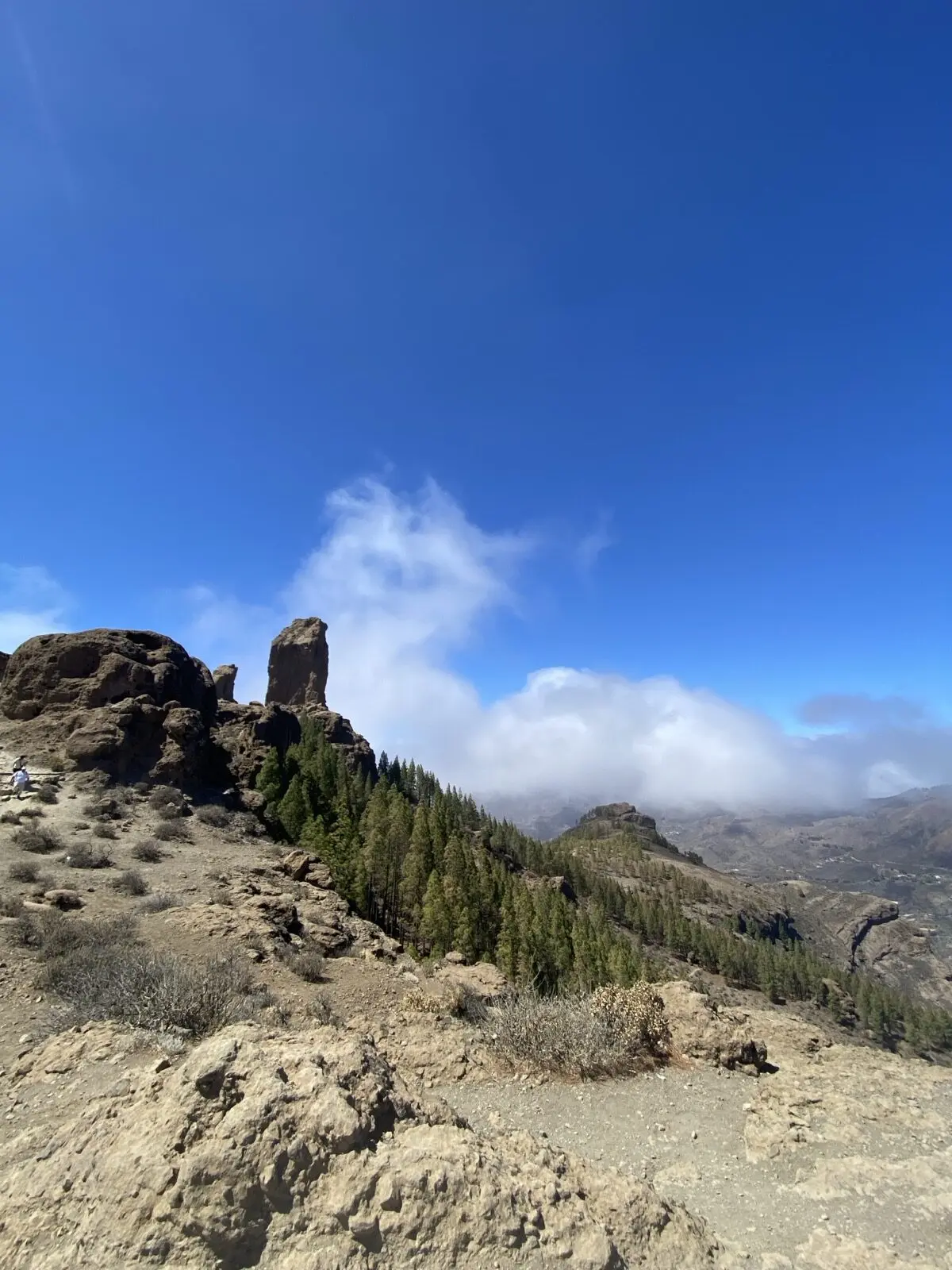 Ausblick vom Roque Nublo auf Gran Canaria