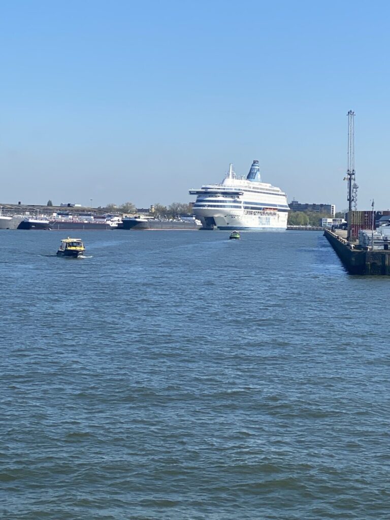 Wasserbusse in Rotterdam