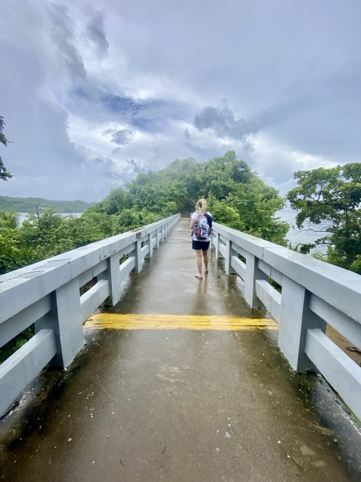Los Puentes de Samaná