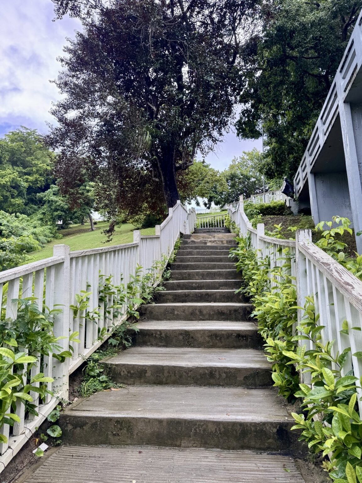 Treppe auf Los Puentes de Samaná