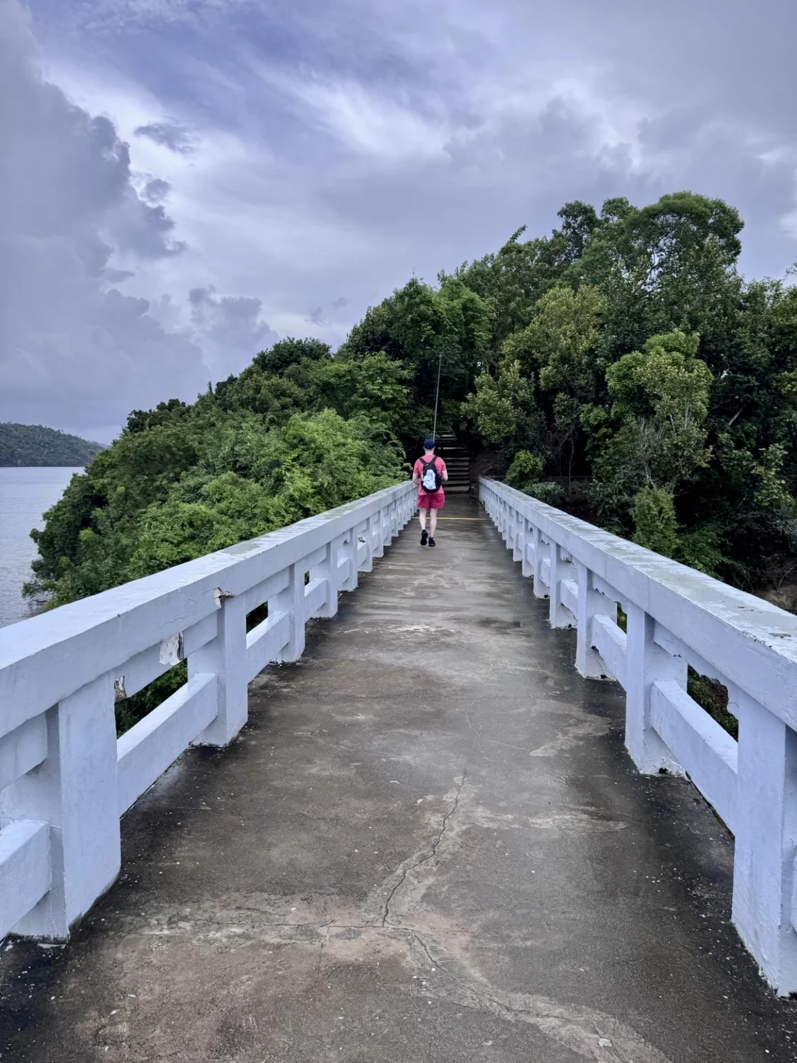 Los Puentes de Samaná