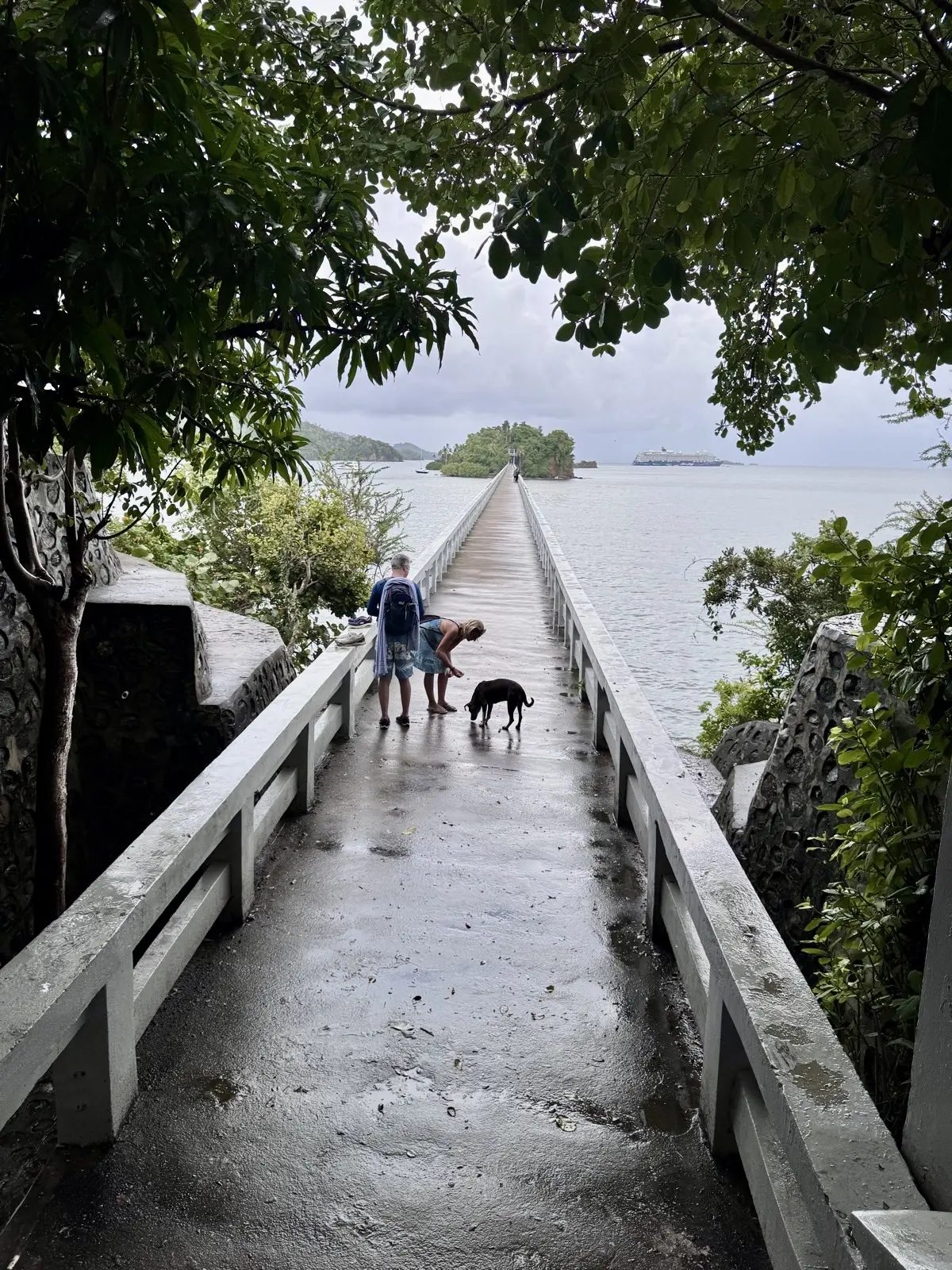 Hunde auf der Los Puentes de Samaná