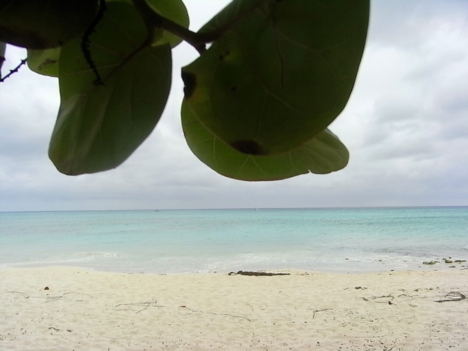 Strand Playa del Carmen in Mexiko