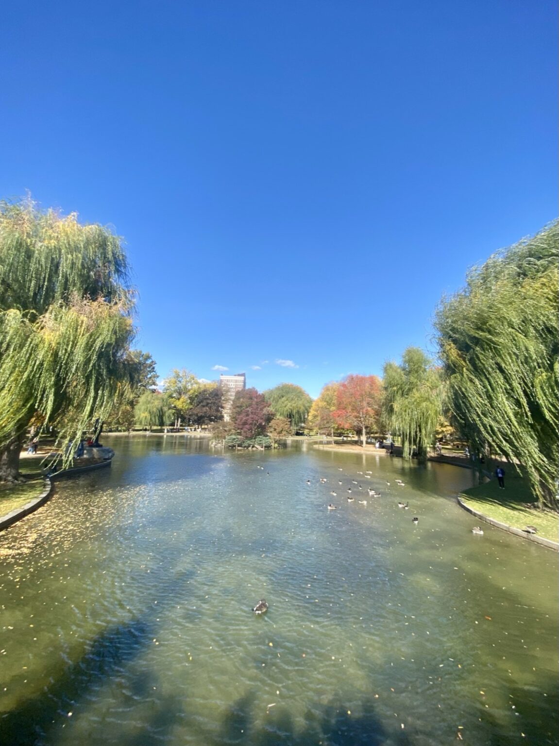 Boston Common Park