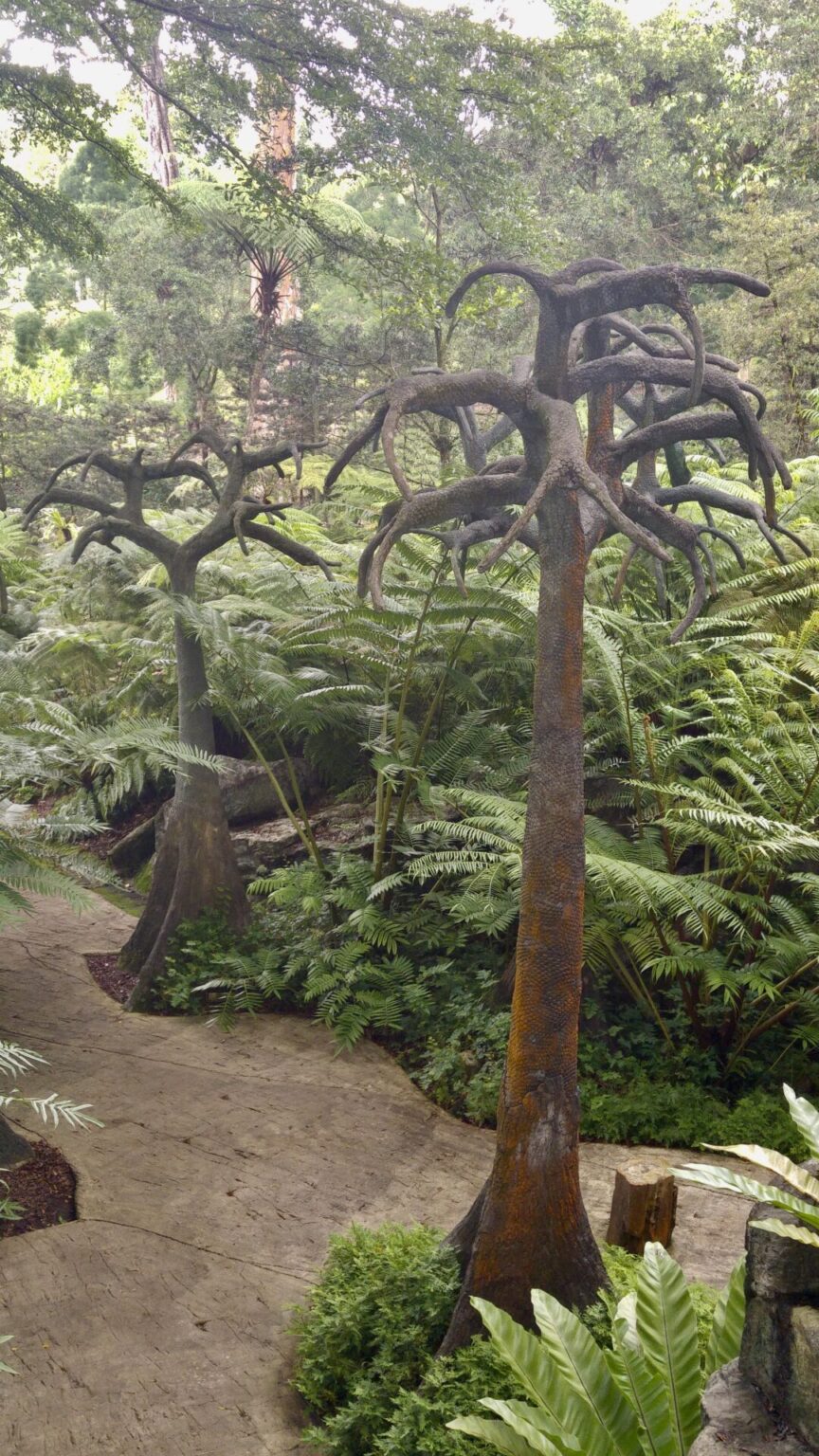 Rain Forest Singapure