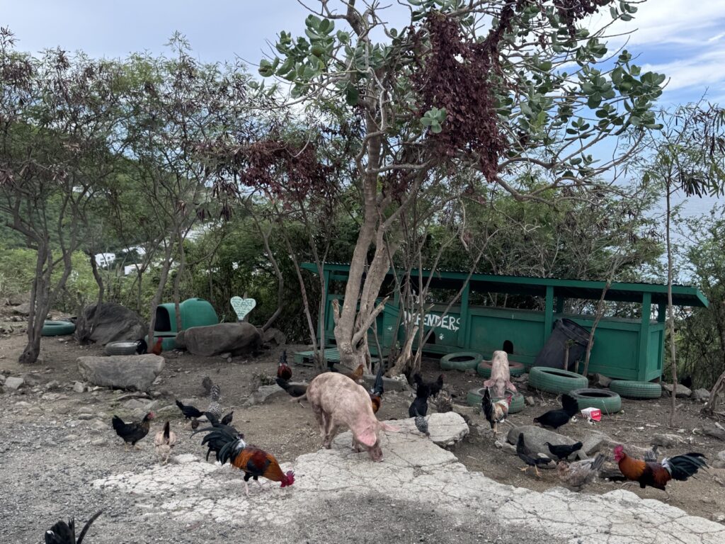 Mini Tierpark in St. Maarten
