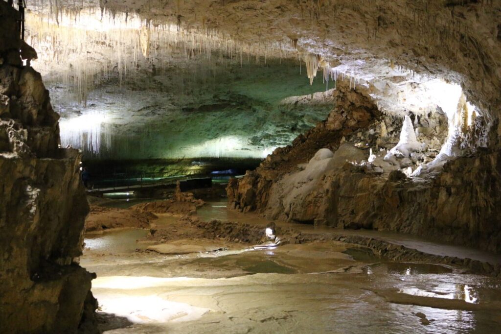 Adelsberger Grotte Höhlen von Postojna