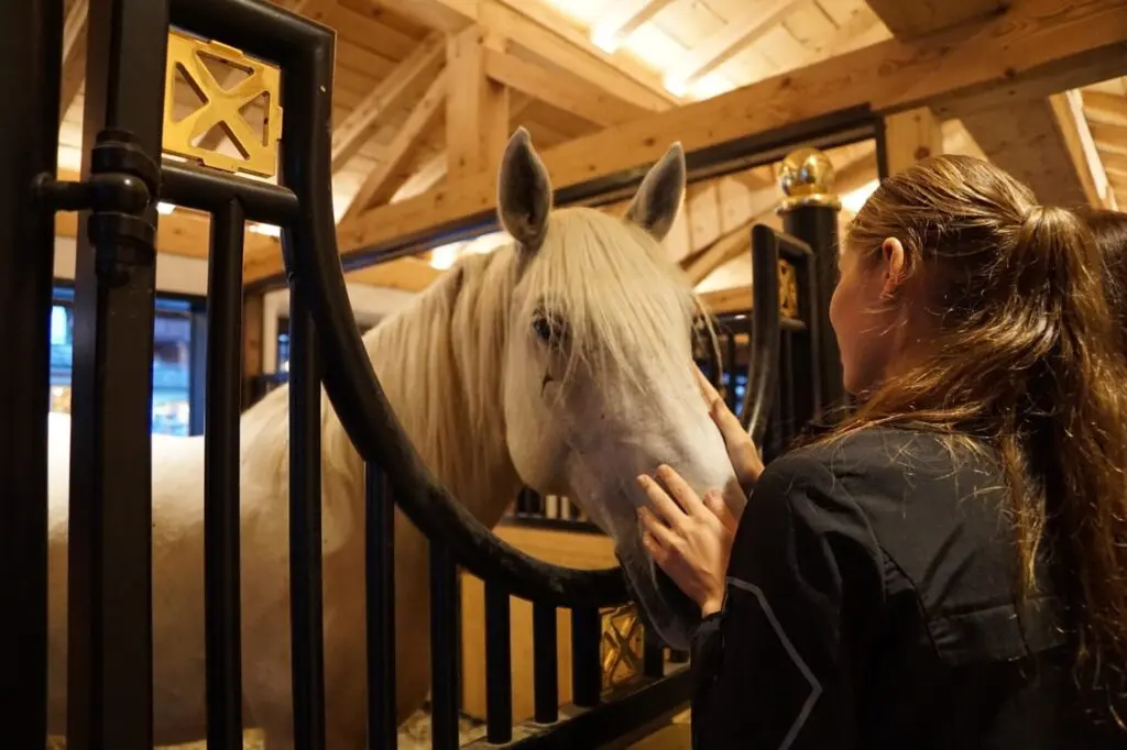 Frau vor einer Kopple mit weißem Pferd