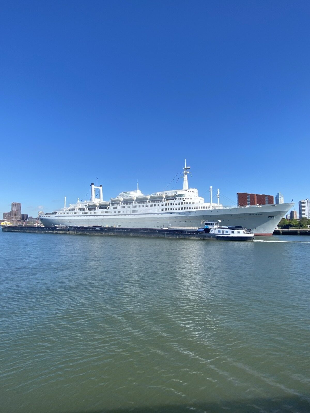 Schiff SS Rotterdam
