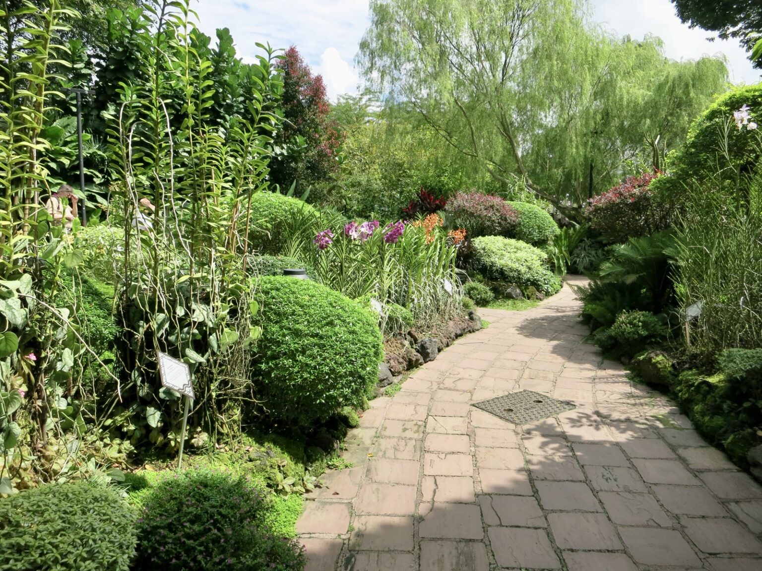 Botansicher Garten Singapur