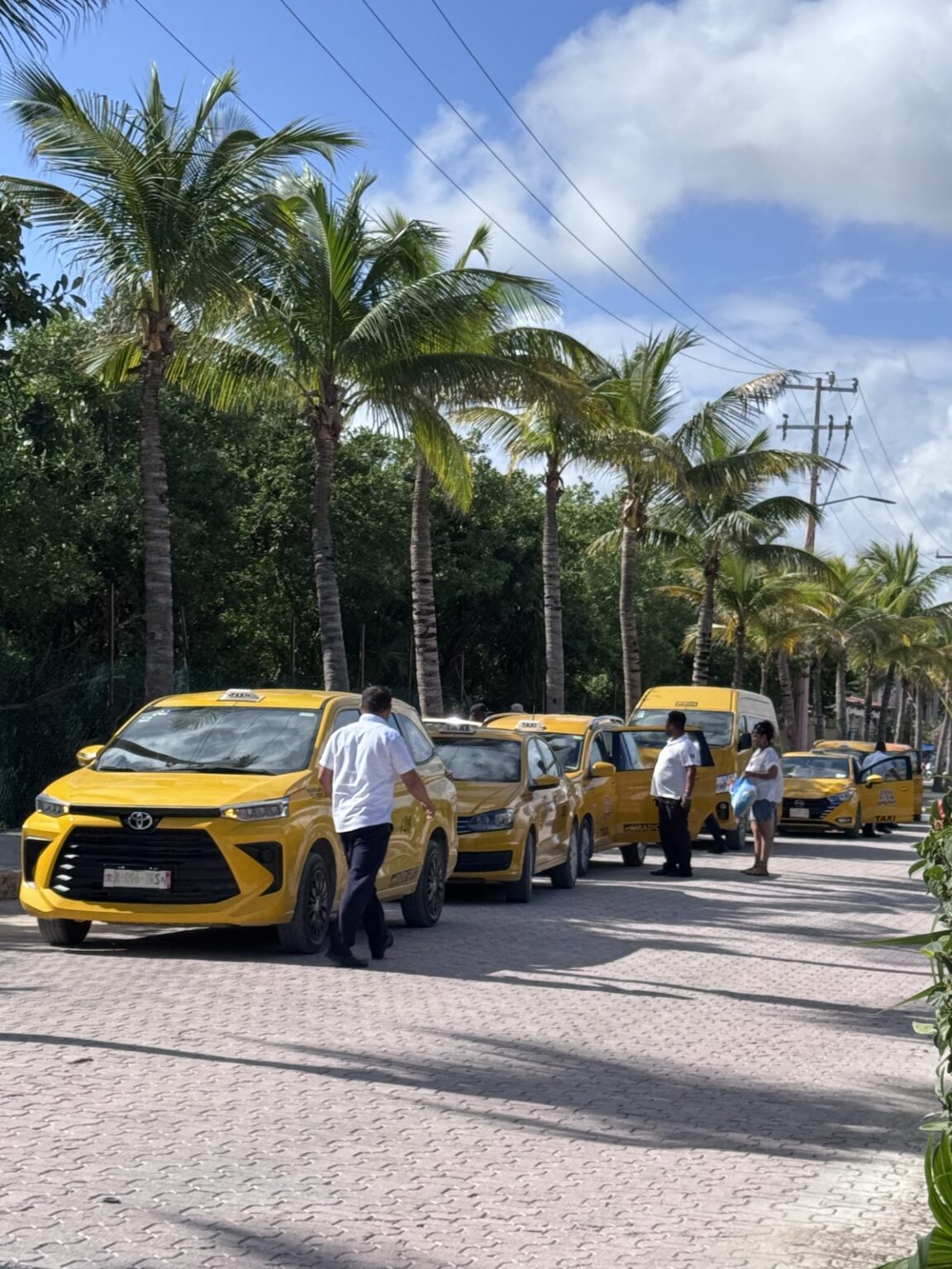 Taxis am Hafen Costa Maya