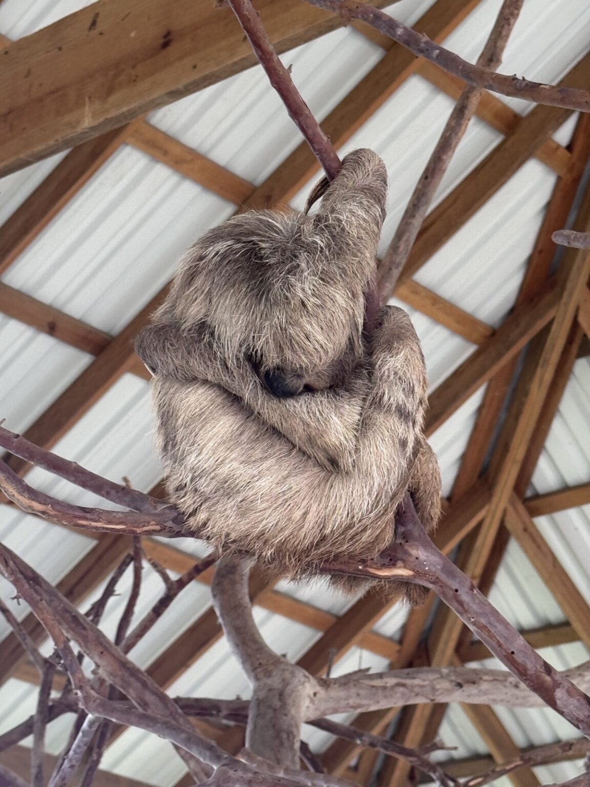 Manawakie Eco Nature Park Roatan Honduras