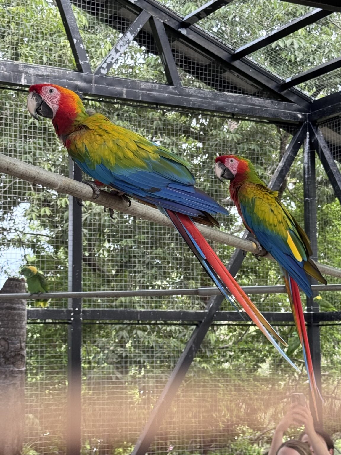 Manawakie Eco Nature Park Roatan Honduras