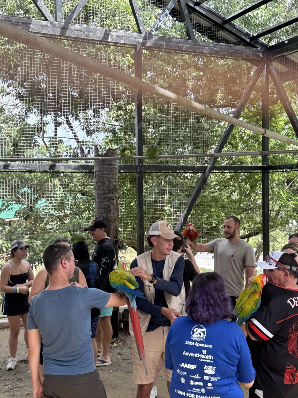 Daniel Johnson's Monkey and Sloth Hang Out Roatan