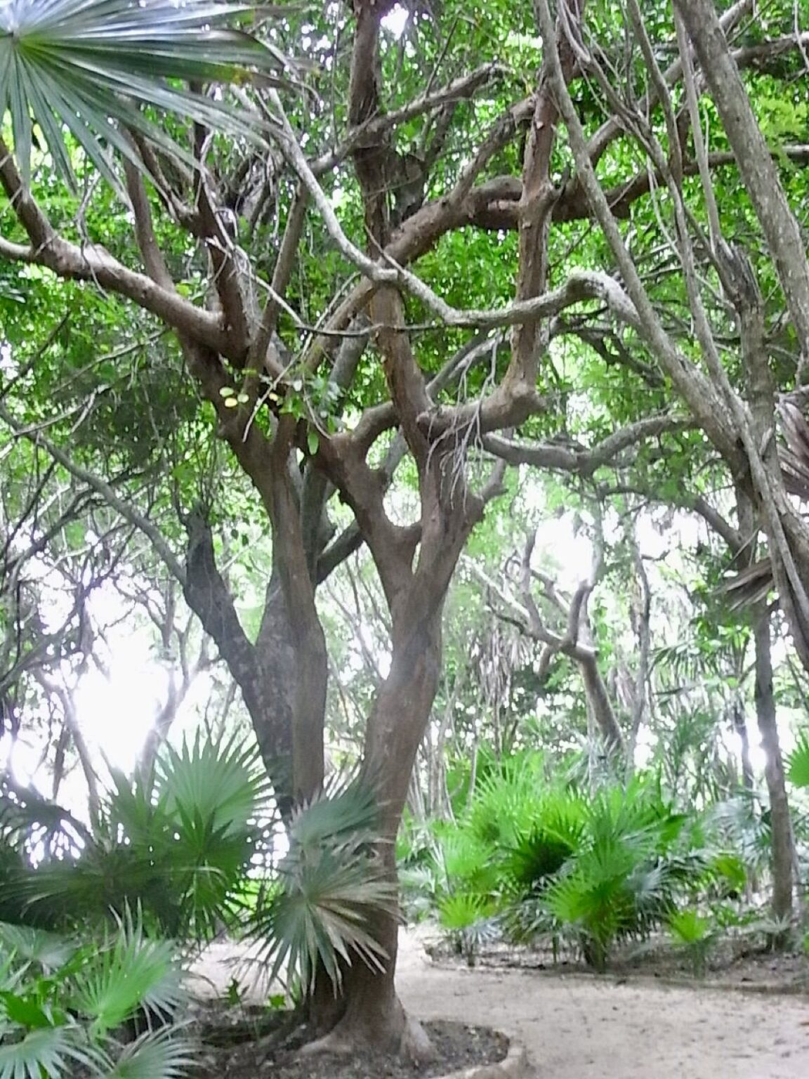 Tulum Mexiko