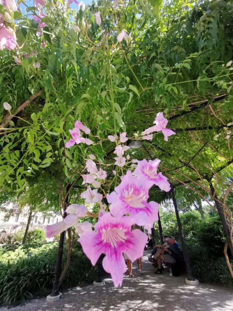 Garten Giardini Reali in Venedig