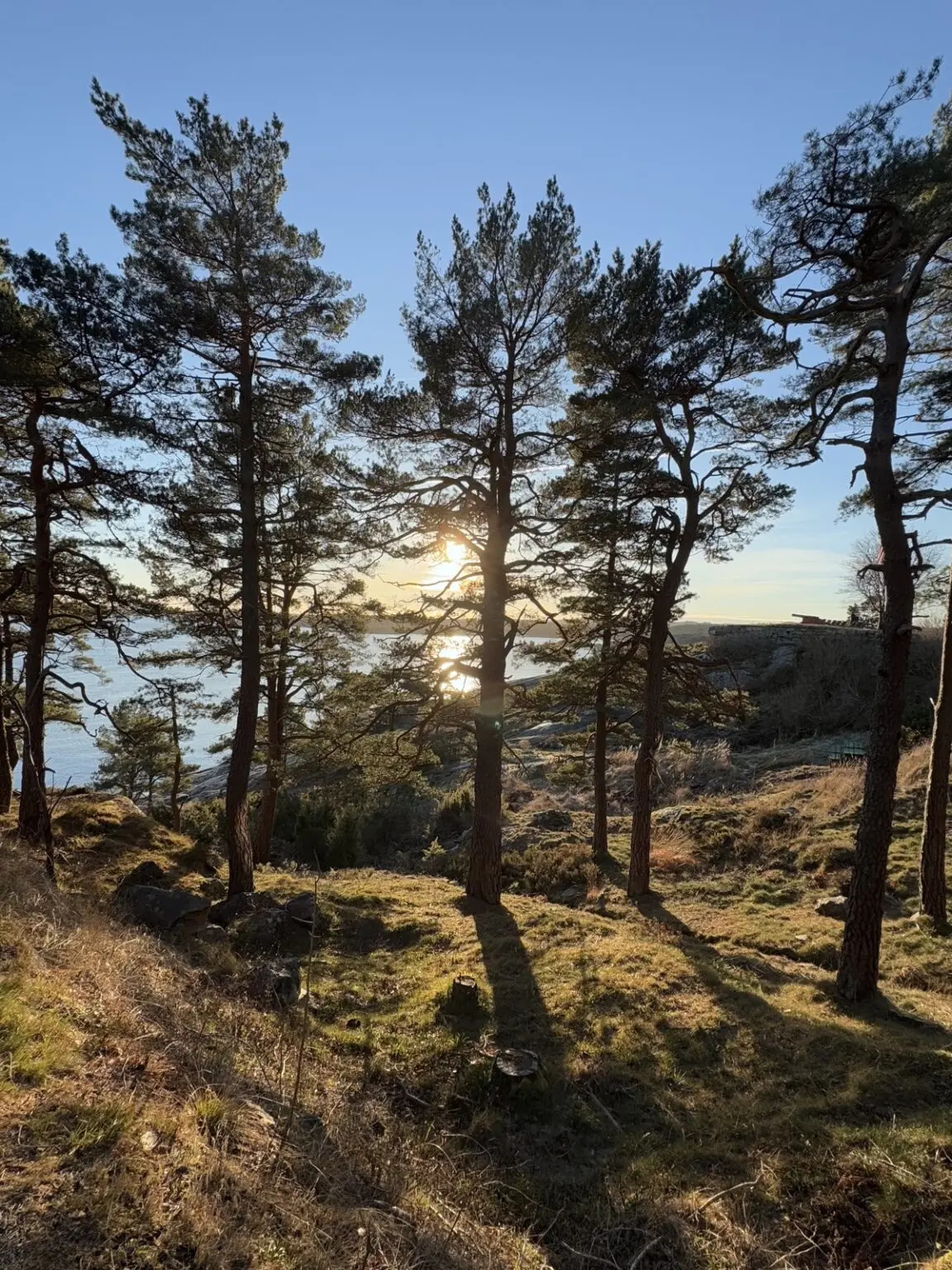 Wandergebiet Odderøya