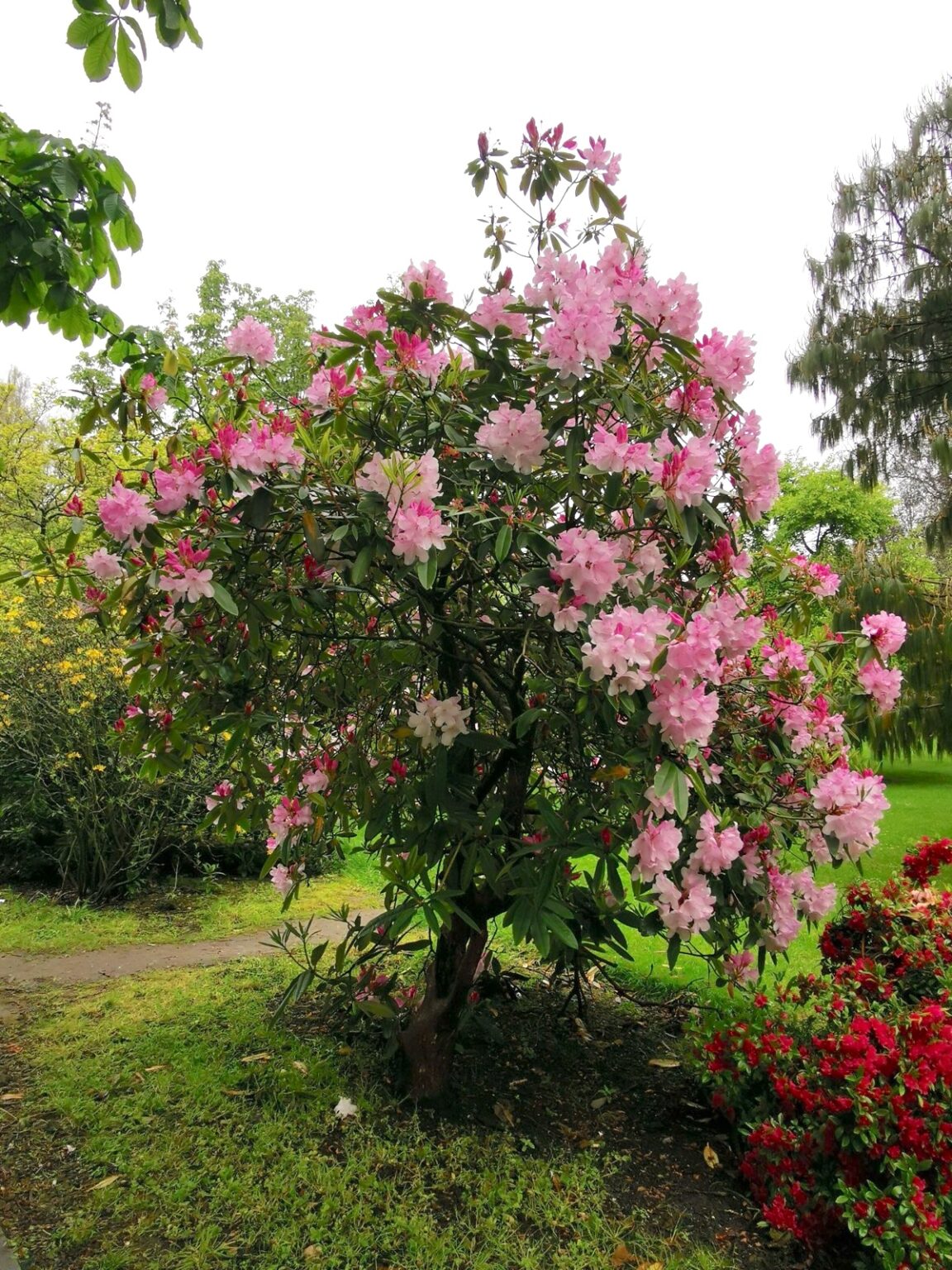 East Park in Southampton