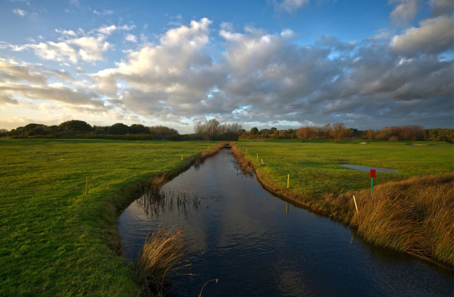 New Forest National Park