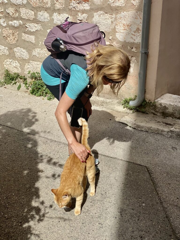 Frau streichelt Katze in Zadar
