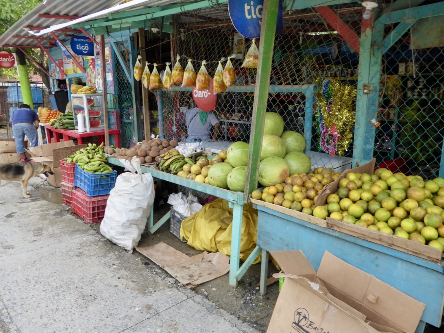 Markt in Coxen Hole Roatan Honduras